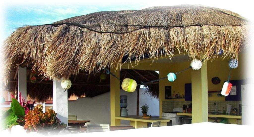 Coral Reef Inn Косумел Екстериор снимка